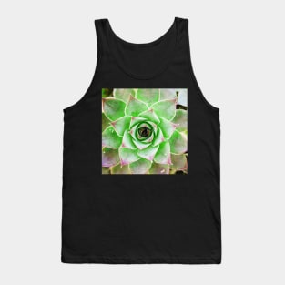 Plant print, Cactus print, Succulent, Scandinavian print, Trendy print, Styled, Pillow, Modern art, Wall art, Print, Minimalistic, Modern Tank Top